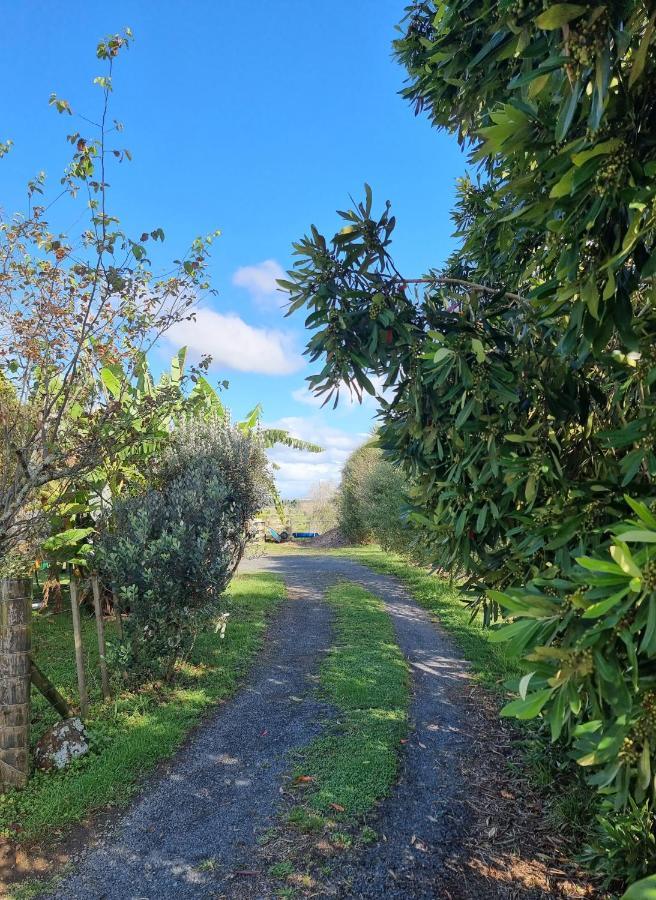 Bookabarn Villa Kerikeri Luaran gambar